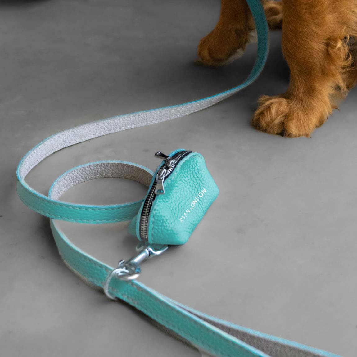 Leather Dog Collar - Light Blue and Off-white - Image 6