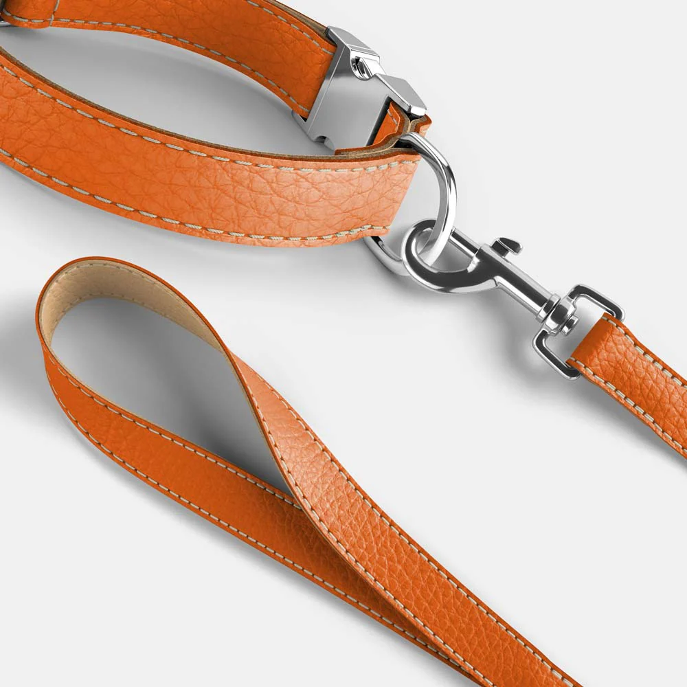 Leather Dog Collar - Pumpkin Orange and Beige - Image 4