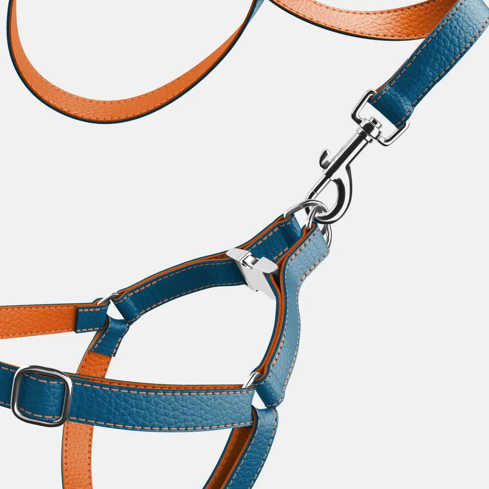 Leather Dog Harness - Blue and Orange - Image 5