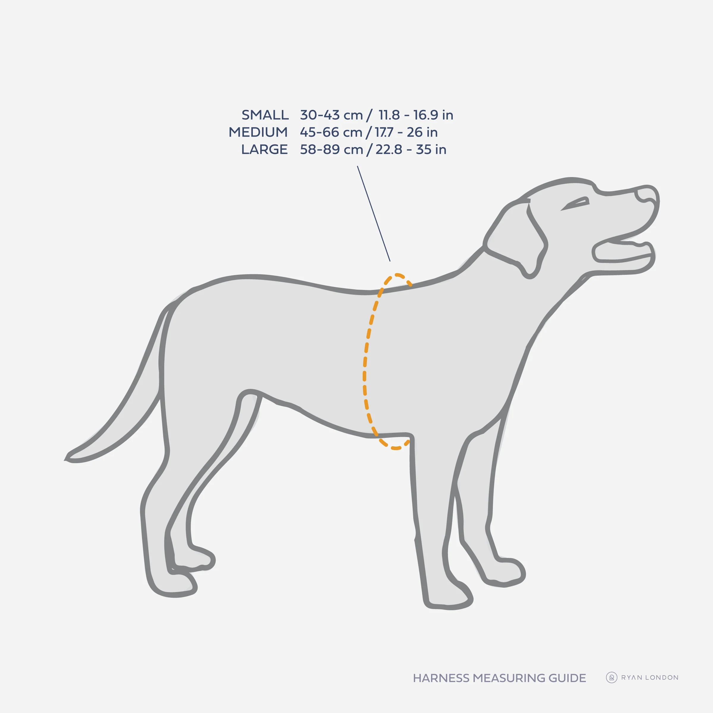 Leather Dog Harness - Light Blue and Off-white - Image 5
