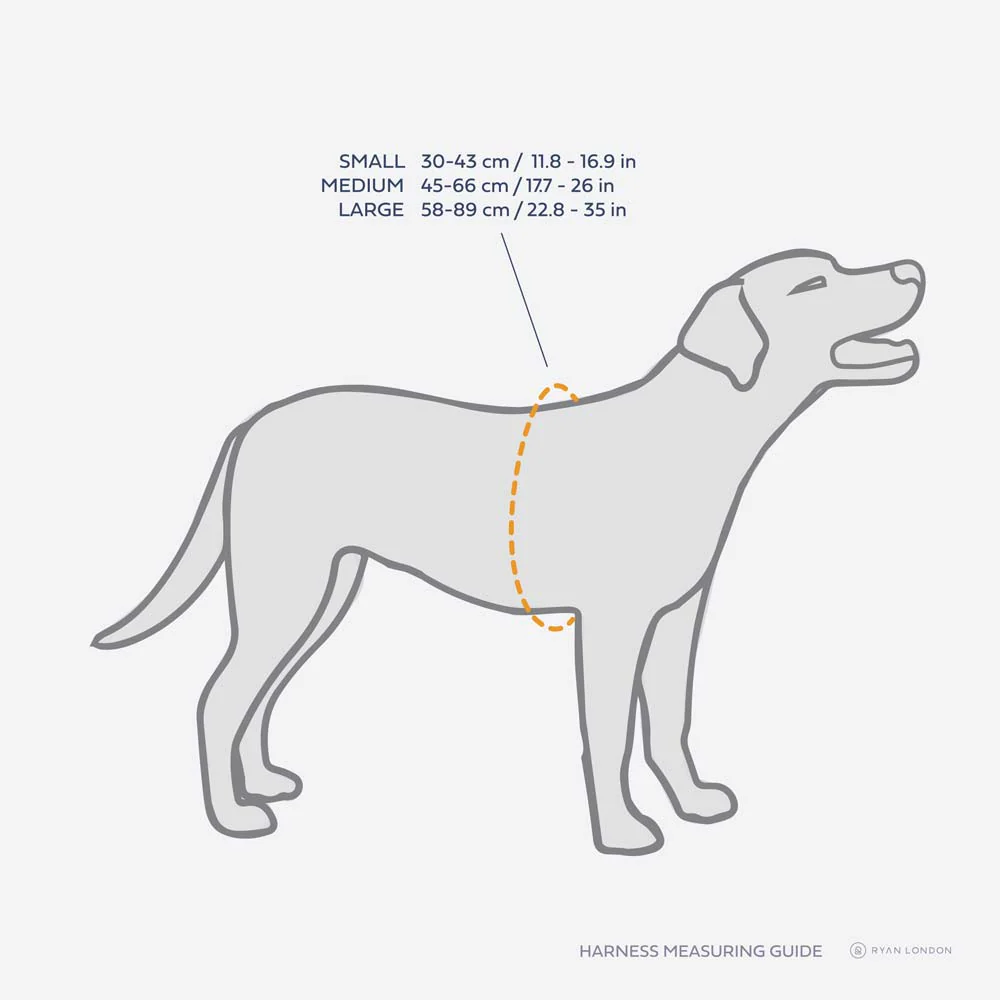 Leather Dog Harness - Yellow and Beige - Image 4