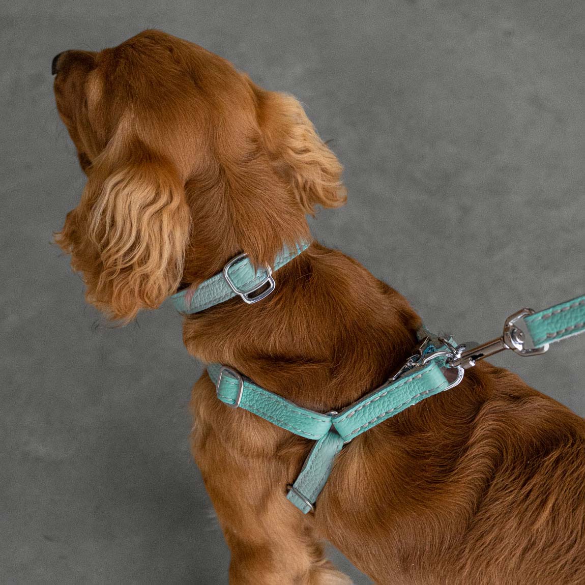 Leather Dog Lead - Light Blue and Off-white - Image 5