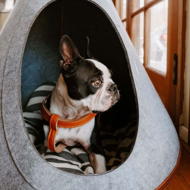 Leather Dog Lead - Pumpkin Orange and Beige - Image 3