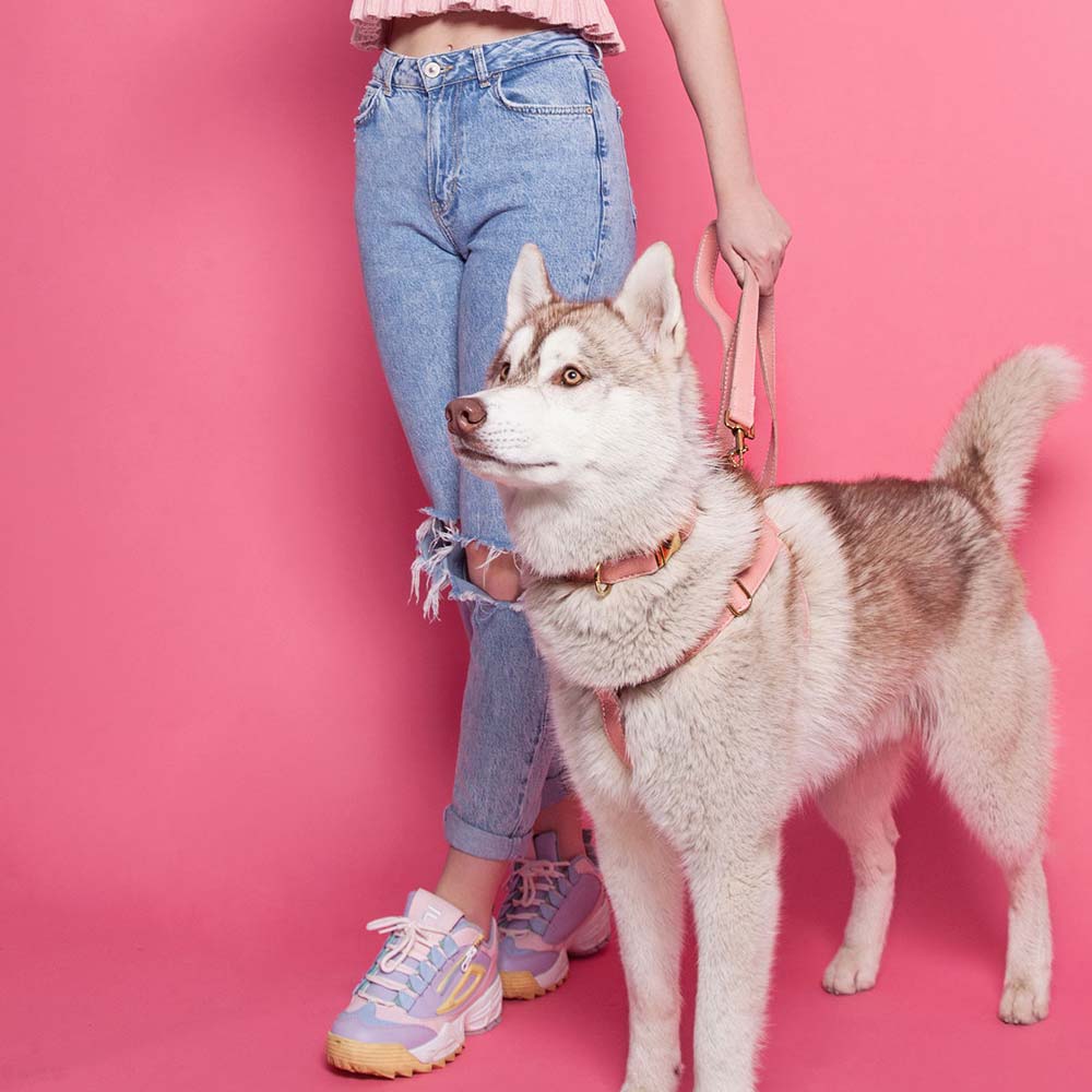 Leather Dog Lead - Pink - Image 5